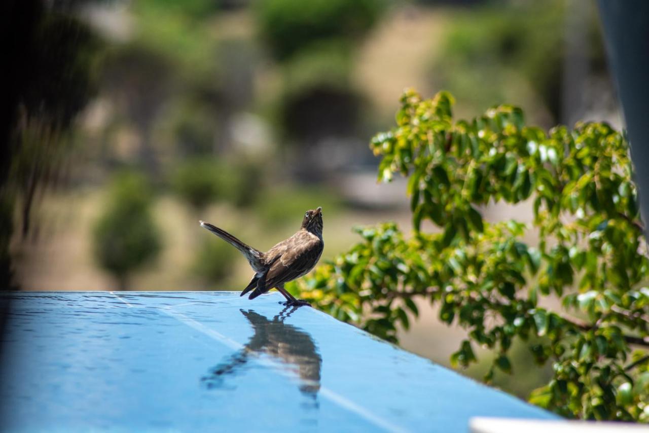 Domaine De Sweet Hill - 4 Villas Et 2 Studios Salines Экстерьер фото
